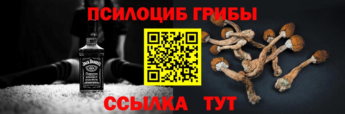 Галлюциногенные грибы ЛСД  Вход с VPN  Кимры  наркота  Псилоцибиновые грибы Psilocybine cubensis 